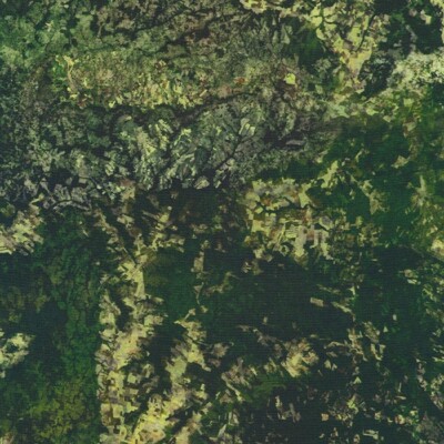 Earth View cotton quilt fabric Kaufman AKWD-21145-44 Forest Karen Nyberg