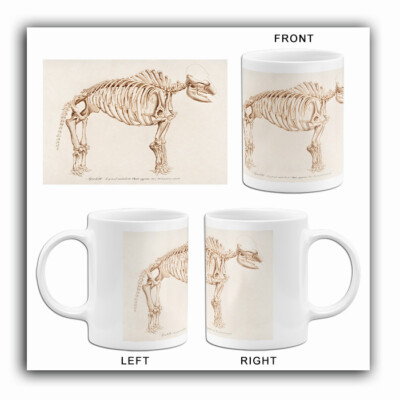 Skeleton Grand Mastodonte -Mamoth (Mammut) - 1849 - Illustration Mug