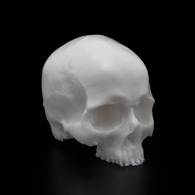 APOF Premium Silicone Synthetic Skull Training Practice Skin Tattoo Supplies USA