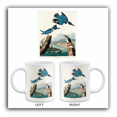 Belted Kingfisher - 1827 - Illustration Mug