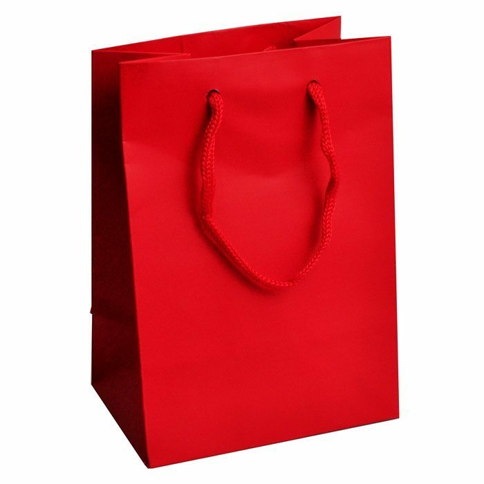 Paper Bag Gift Shopping Bags with handles Paper Gift Bags ~ 11 Colors 4 Sizes