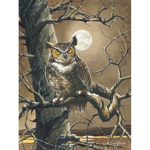 John Rossini Sentinel Owl Full Moon Art Print 12 x 16