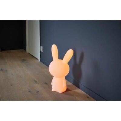 Wireless Speaker Bright Colourful Bunny Lumin ' US