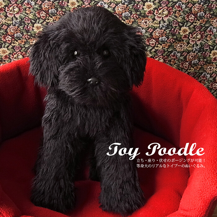 toy poodle Black color stuffed animal cuddly toy Plush toy