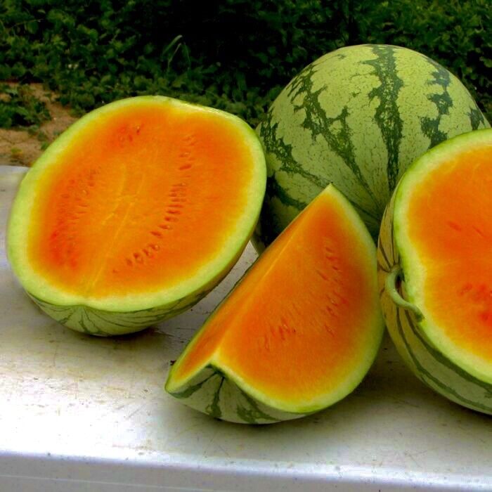 25+very  Sweet Orange Watermelon Seeds . Non Gmo True To Color . Free Shipping