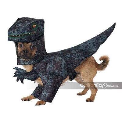 California Costumes Pupasaurus Rex T-Rex Dog Puppy Halloween Costume PET20169