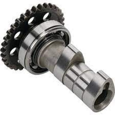 Hotcam HC00119 Intake Camshaft