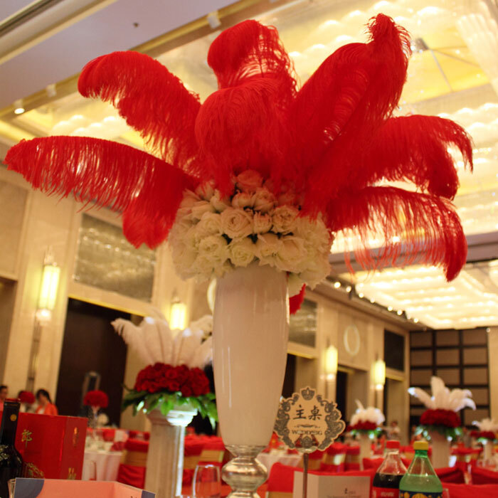 Wholesale 10/50/100pcs Ostrich Feathers 6-28 inch/15-70cm Wedding Party Decor