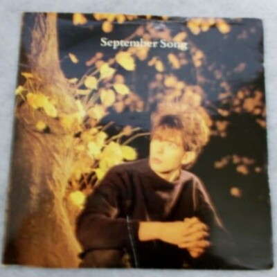 IAN McCULLOCH from Echo And The Bunnymen-SEPTEMBER SONG-IMPORT 45!