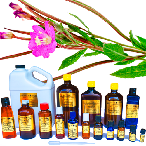 Palmarosa Essential Oil    100% Pure     Sizes 3 ml - 32 oz