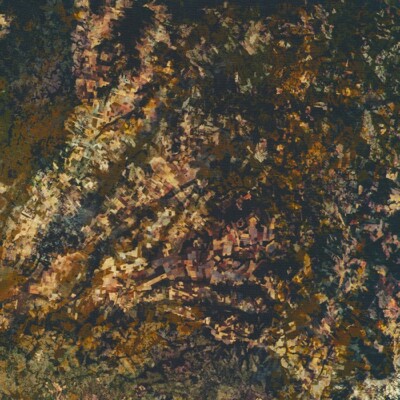 Earth View cotton quilt fabric Kaufman AKWD-21145-169 Earth Karen Nyberg