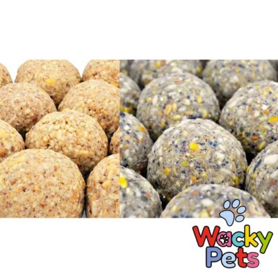 FAT BALLS FOR WILD BIRDS  WINSTON WILDS BEST DELUXE QUALITY HANDMADE