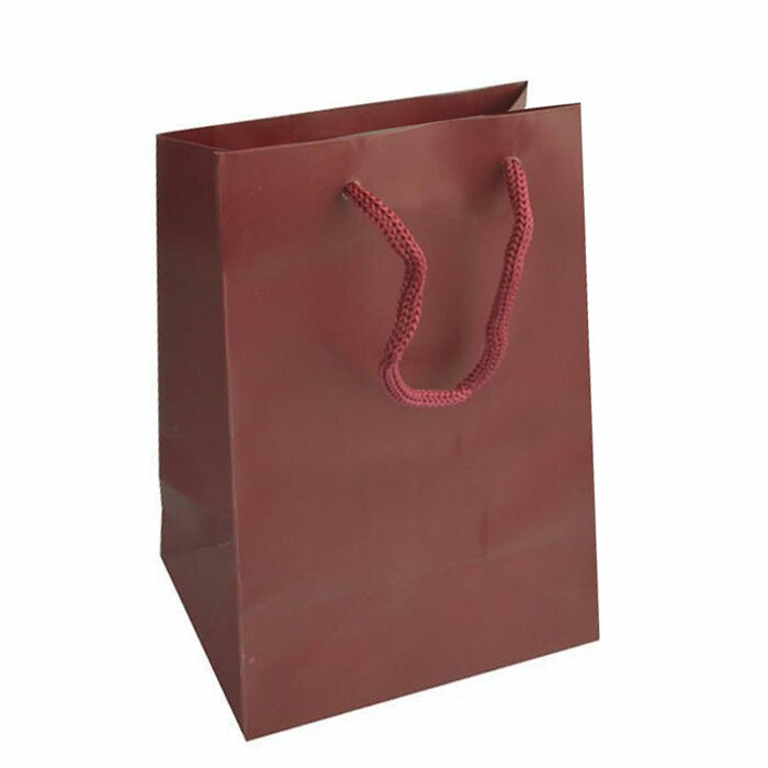 Paper Bag Gift Shopping Bags with handles Paper Gift Bags ~ 11 Colors 4 Sizes