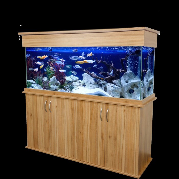 Large Fish Tank for Sale in Sketty, Swansea Gumtree