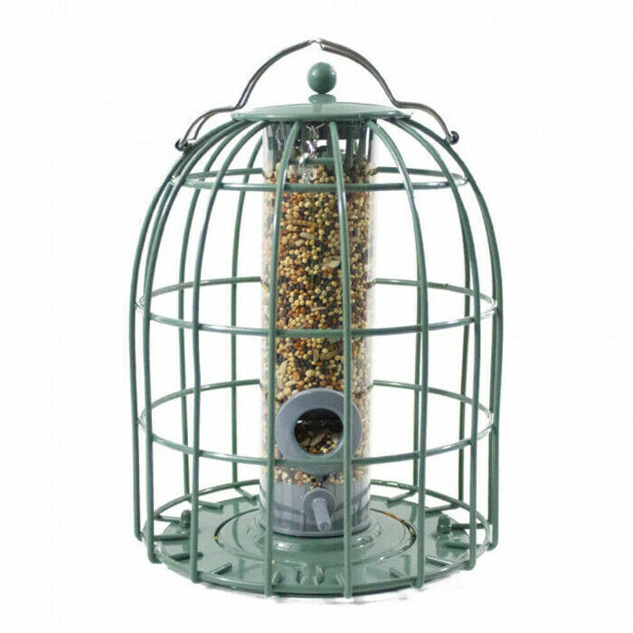 The Nuttery Original Compact Squirrel Proof Bird Seed Feeder Ocean