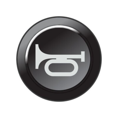Link Engine Management CAN Keypad Insert Horn Button
