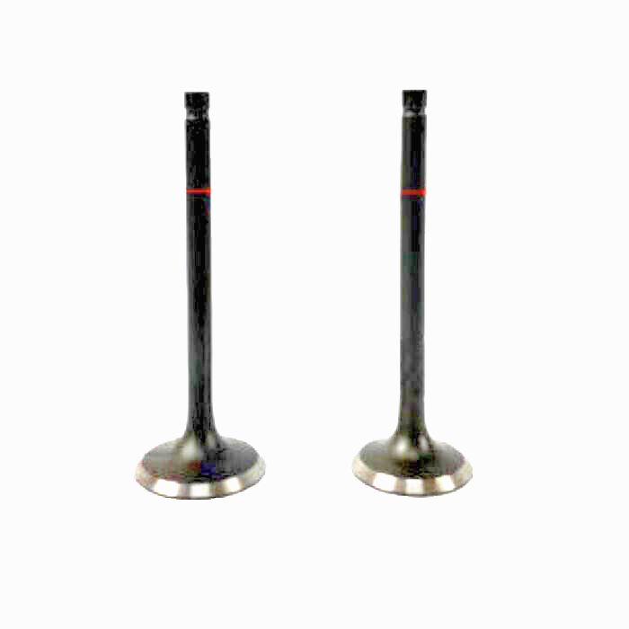 Predator 212cc  NON HEM OEM Stock Valve Set