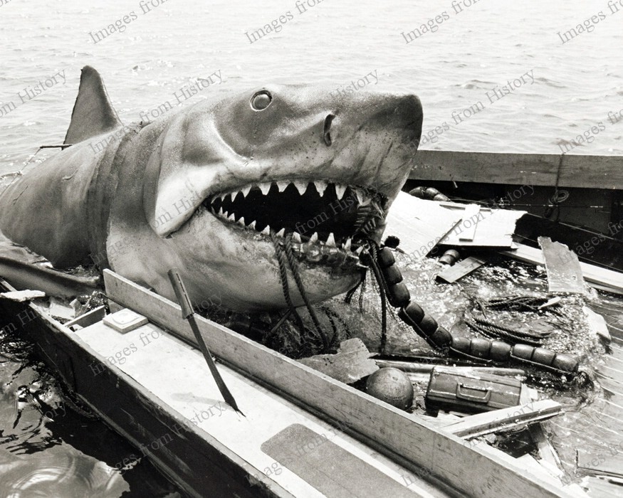 8x10 Print JAWS Great White Shark Know as "Bruce" Jaws Universal 1975 #NKN