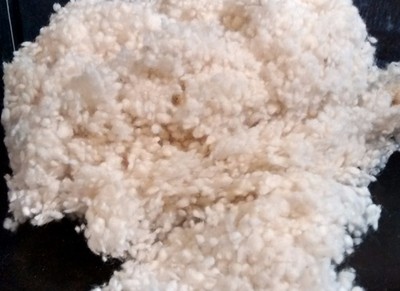  Wool Bed Pillow Wooly Bolas Organic Sleep Beyond Hypo Chemical Free Eco