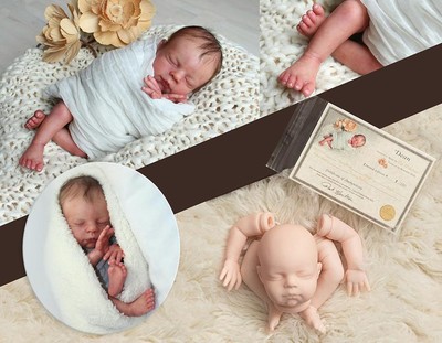 Kit Megan Reborn 2025 | chialvo.net