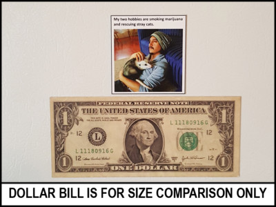 Fridge Fun Refrigerator Magnet "MY TWO HOBBIES ARE RESCUING CATS" Funny Meme