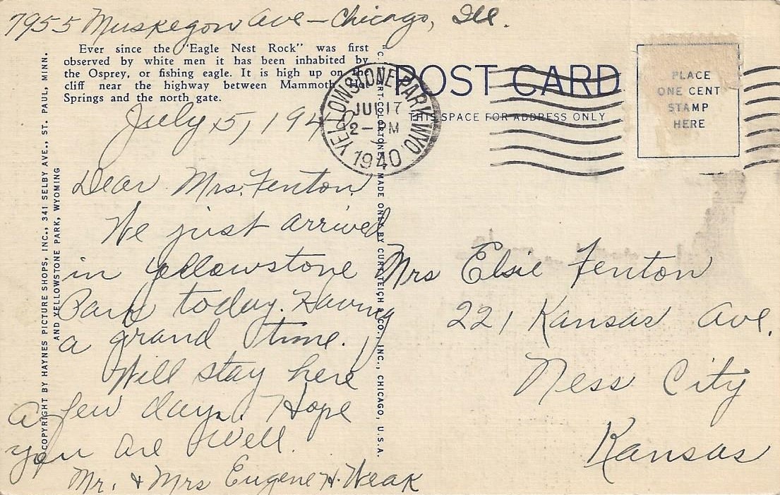 Osprey and Aerie, Yellowstone National Park Vintage Linen Postcard