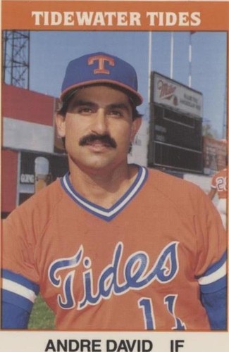 1987 TCMA/CMC International League - Andre David #37