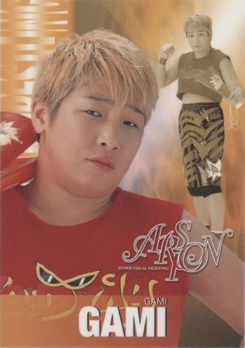 2001 Future Bee Women's Pro-Wrestling Collection - Gami #019