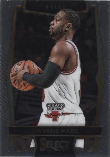 2016-17 Panini Select - Dwyane Wade #93