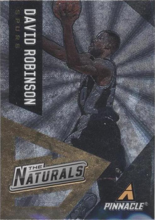 Panini Pinnacle 2013-14 - David Robinson #11