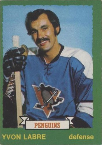 1973-74 O-Pee-Chee - Yvon Labre #247