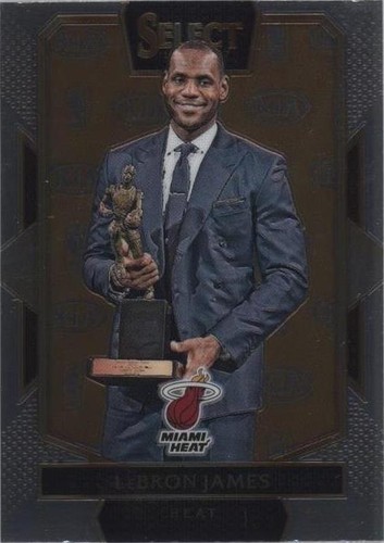 2016-17 Panini Select - LeBron James #290