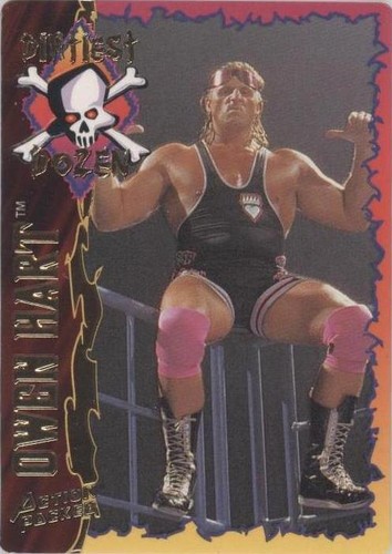 1995 Action Packed WWF - Owen Hart #26
