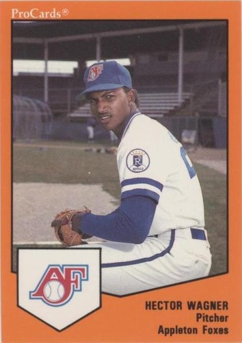 1989 ProCards Minor League Team Sets - Hector Wagner #849