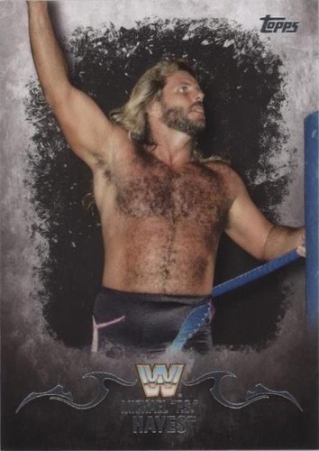 2016 Topps WWE Undisputed - Michael Hayes #73