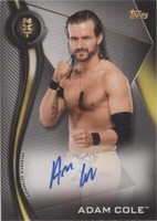 2019 Topps WWE NXT - Adam Cole #A-AC