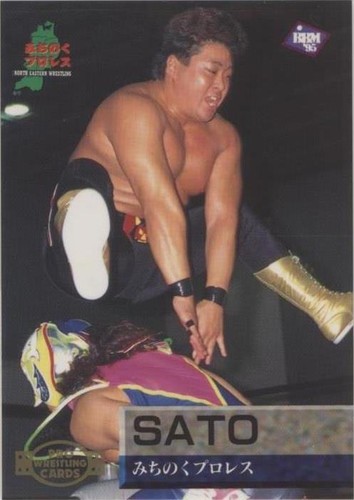 1995 BBM Pro Wrestling - Sato #85