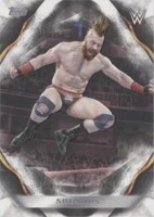 2019 Topps WWE Undisputed - Sheamus #66