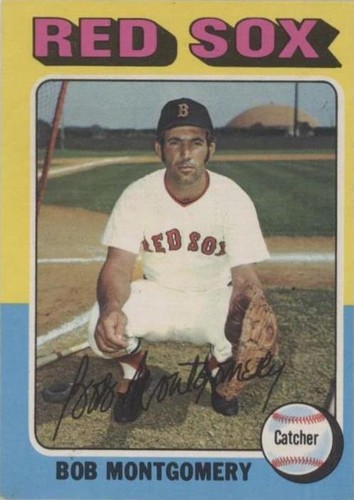 1975 O-Pee-Chee - Bob Montgomery #559