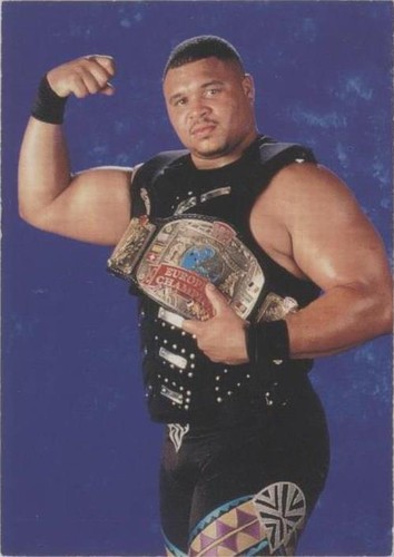 1998 Comic Images WWF Superstarz - D'Lo Brown #9