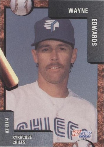 1992 Fleer ProCards Minor League - Wayne Edwards #1960