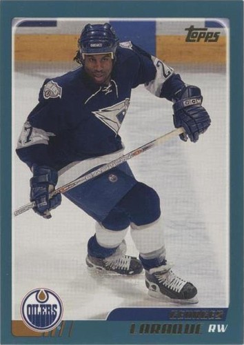 2003-04 Topps - Georges Laraque #16