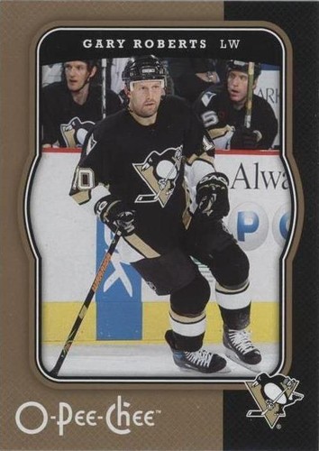 2007-08 O-Pee-Chee - Gary Roberts #385