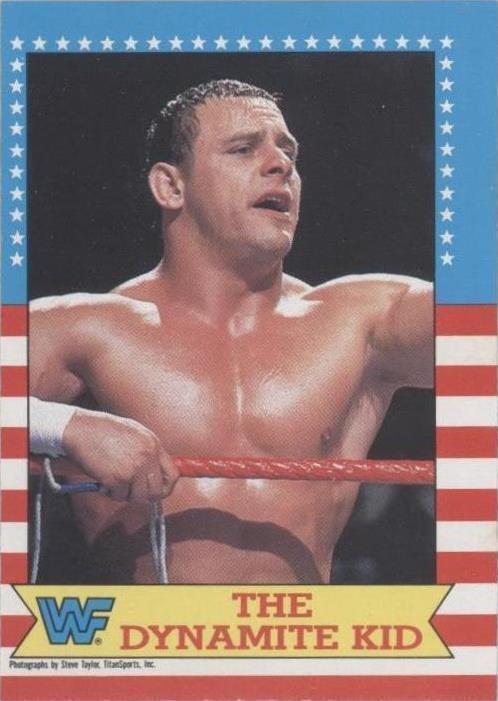 1987 O-Pee-Chee WWF - The Dynamite Kid #20