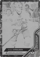 2016-17 Upper Deck Compendium - Anton Stralman #529
