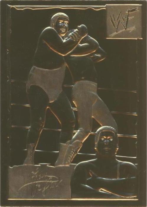 1999-2005 Danbury Mint 22k Gold WWF/E - Andre the Giant #1