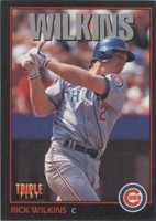 1993 Triple Play - Rick Wilkins #19