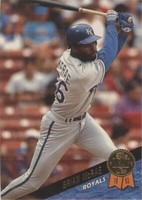 1993 Leaf - Brian McRae #58