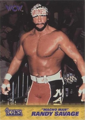 1998 Topps WCW/nWo - Randy Savage #66