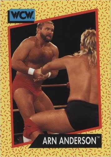 1991 Impel WCW - Arn Anderson #51